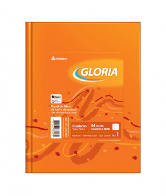 Cuaderno T/D 16X21 Gloria 84 Hj Cd