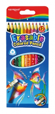 Pinturitas Ketroad X 12 Largo C/Goma