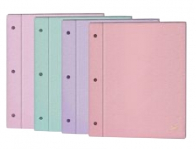 Carpeta Escolar 2 Tapas N*3  Fw Pastel