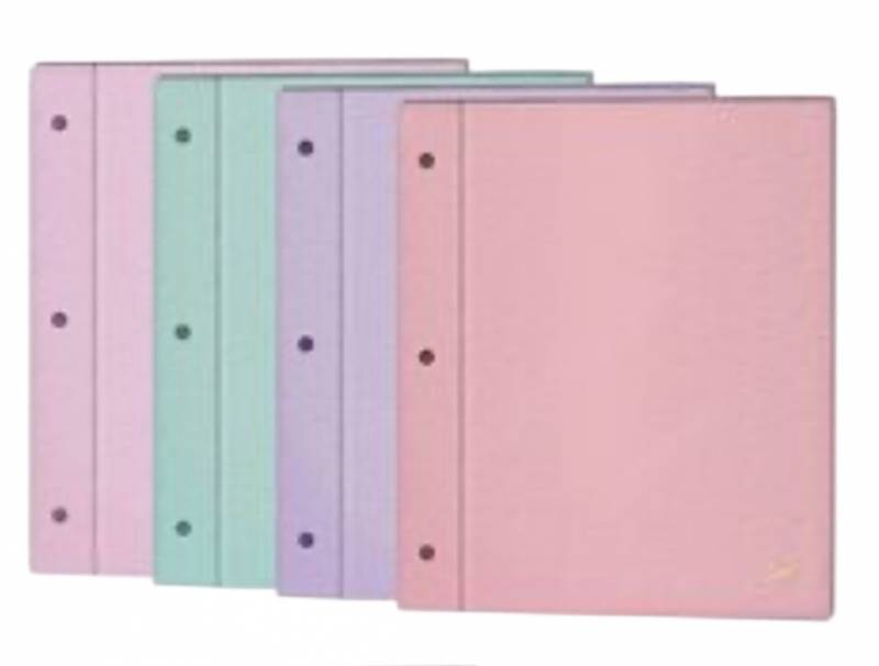 Carpeta Escolar 2 Tapas N*3  Fw Pastel