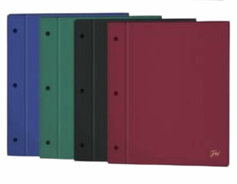 Carpeta Escolar 2 Tapas N*3  Fw Color